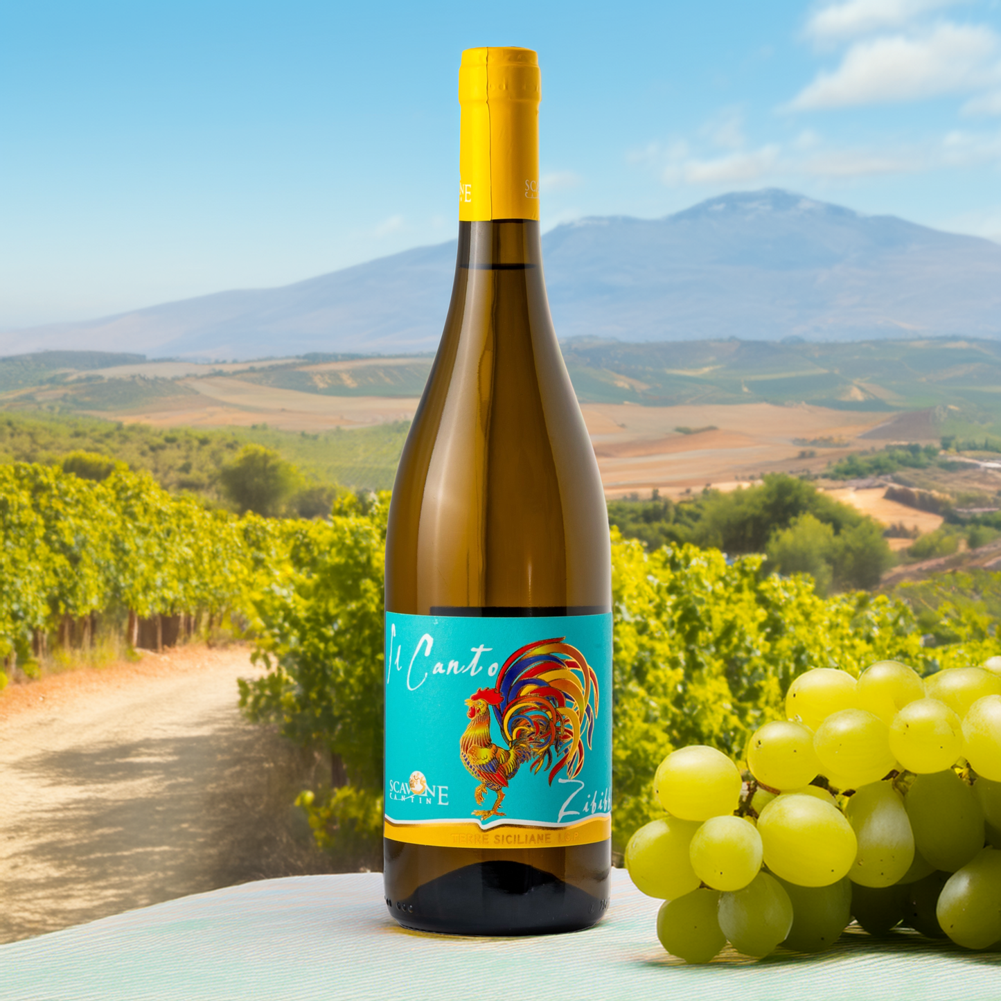 Weißwein Il Canto Zibibbo aus Sizilien – die Flasche mit hellen Weintrauben im Vordergrund und einem sizilianischen Weingut im Hintergrund, Symbol für Herkunft und Handwerkskunst.