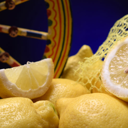 BIO Zitronen - PREIS AUF ANFRAGE