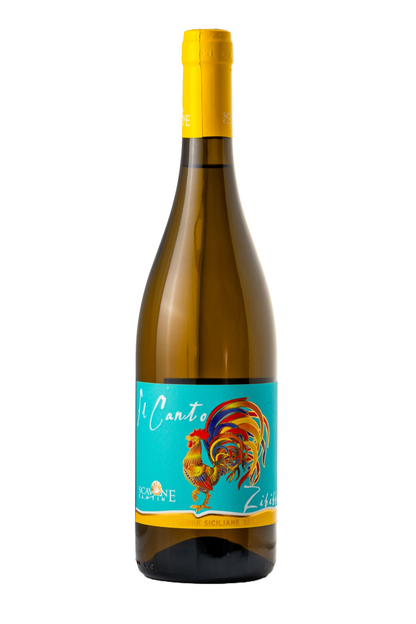 Flasche des sizilianischen Weißweins IL CANTO Zibibbo Terre Siciliane I.G.P. auf hellem Hintergrund – frischer Wein aus 100 % Zibibbo-Trauben mit exotischen Fruchtnoten, ausgewählt von Nicoletti Feinkost.