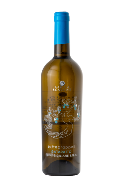 Flasche Settegrappoli Catarratto Bianco Lucido Terre Siciliane I.G.P. – fruchtig-komplexer Weißwein aus Sizilien mit eleganter Struktur, erhältlich bei Nicoletti Feinkost.